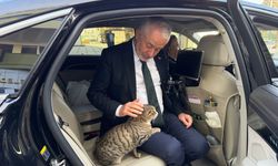 Sevimli Kedi, Başdeğirmen’i Ankara’ya Uğurladı