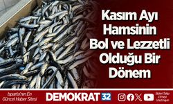 Kasım Ayı Hamsinin Bol ve Lezzetli Olduğu Bir Dönem