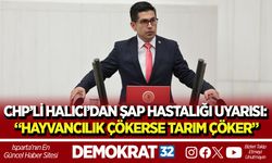 CHP’Lİ HALICI’DAN ŞAP HASTALIĞI UYARISI: “HAYVANCILIK ÇÖKERSE TARIM ÇÖKER”