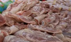 ISPARTALILAR AMAN DİKKAT! 25 ton bozuk tavuk ürünü ele geçirildi...