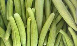 Acurun Mevsimi Bitti, Fiyatı Arttı!