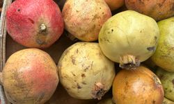 “Fiyat 50 TL Ama Asıl Önemli Olan İçinin Kalitesi”