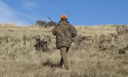 Uluborlu’da planlanan domuz avı faaliyet raporu tamamlandı