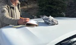 Burdur'da kaçak avcılar ekiplere yakalandı