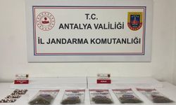 Alanya'da jandarmadan uyuşturucu operasyonu