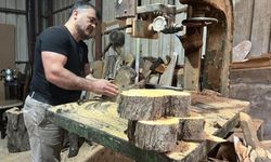 Çürümüş zeytin ağaçlarını sanat eserine dönüştürüyor