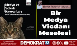 Bir Medya Vicdanı Meselesi