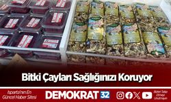 Bitki Çayları Sağlığınızı Koruyor