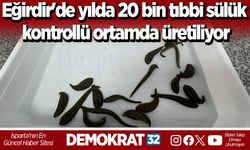 Eğirdir'de yılda 20 bin tıbbi sülük kontrollü ortamda üretiliyor