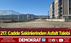 217. Cadde Sakinlerinden Asfalt Talebi
