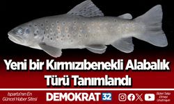 Yeni bir Kırmızıbenekli Alabalık Türü Tanımlandı
