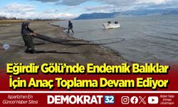 Eğirdir Gölü’nde endemik balıklar için anaç toplama devam ediyor