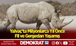 Yalvaç’ta Milyonlarca Yıl Önce Fil ve Gergedan Yaşamış