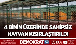 4 BİNİN ÜZERİNDE SAHİPSİZ HAYVAN KISIRLAŞTIRILDI