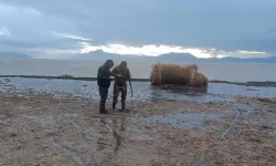 ISPARTA’DA KARA AVCILIĞI DENETİMİNDE 1 AVCIYA YASAL İŞLEM