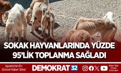 ISPARTA’DA SOKAK HAYVANLARINDA YÜZDE 95’LİK TOPLANMA SAĞLADI