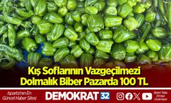 Kış Soflarının Vazgeçilmezi Dolmalık Biber Pazarda 100 TL