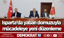 Isparta’da yaban domuzuyla mücadeleye yeni düzenleme