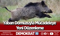 Yaban Domuzuyla Mücadeleye Yeni Düzenleme