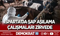 ISPARTA’DA ŞAP AŞILAMA ÇALIŞMALARI ZİRVEDE