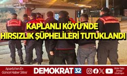 KAPLANLI KÖYÜ'NDE HIRSIZLIK ŞÜPHELİLERİ TUTUKLANDI