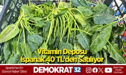 Vitamin Deposu Ispanak 40 TL’den Satılıyor