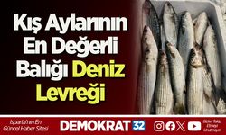 Kış Aylarının En Değerli Balığı Deniz Levreği