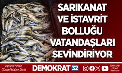 TEZGÂHLARDA SARIKANAT VE İSTAVRİT BOLLUĞU VATANDAŞLARI SEVİNDİRİYOR