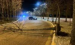 Isparta’da Şiddetli Fırtına Hayatı Olumsuz Etkiledi
