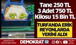 Isparta’da tanesi 250 TL’ye erik satılıyor