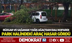 Rüzgar ve Sağanak Yağış Ağaç'dan Dalı Kopardı, Park Halindeki Araçta Hasar Oluştu