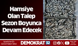 Hamsiye Olan Talep Sezon Boyunca Devam Edecek