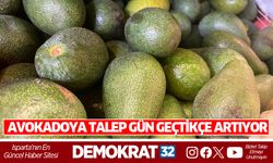 Avokadoya Talep Gün Geçtikçe Artıyor