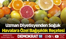 Uzman Diyetisyenden Soğuk Havalara Özel Bağışıklık Reçetesi