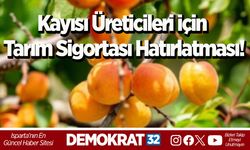 Kayısı Üreticileri için Tarım Sigortası Hatırlatması!