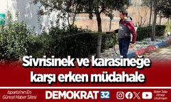 Sivrisinek ve karasineğe karşı erken müdahale