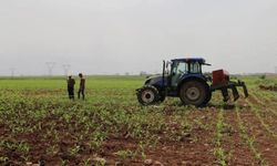 Tarım-ÜFE yıllık %43,58 arttı, aylık %8,46 arttı