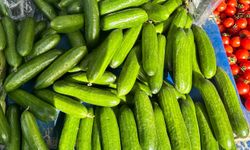 Çünür Pazarında Fiyatlar Cep Yakıyor: Salatalık 100 TL’ye Dayandı