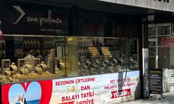 GÜVENLİ LİMANA TALEP SÜRÜYOR