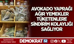 AVOKADO YAPRAĞI AĞIR YEMEKLER TÜKETENLERE SİNDİRİM KOLAYLIĞI SAĞLIYOR