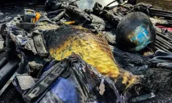 Basın aracı hedef alındı: 3 gazeteci hayatını kaybetti