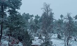 Keçiborlu'da kar sevinci