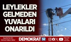 LEYLEKLER GELMEDEN YUVALARI ONARILDI