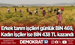 Erkek tarım işçileri günlük BİN 469, Kadın İşçiler ise BİN 438 TL kazandı