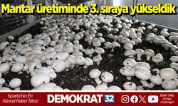 Mantar üretiminde 3. sıraya yükseldik