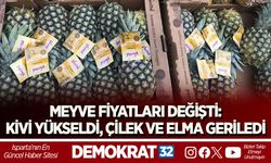 MEYVE FİYATLARI DEĞİŞTİ: KİVİ YÜKSELDİ, ÇİLEK VE ELMA GERİLEDİ