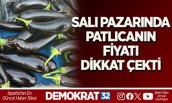 SALI PAZARINDA PATLICANIN FİYATI DİKKAT ÇEKTİ