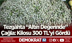 Tezgâhta “Altın Değerinde” Çağla: Kilosu 300 TL’yi Gördü