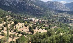 Isparta’daki köyde şaşırtan nüfus tablosu