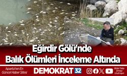 Eğirdir gölü'nde balık ölümleri inceleme altında